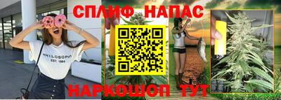 гидра Кандалакша