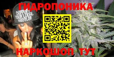 гидра Кандалакша