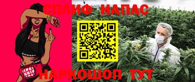 гидра Кандалакша