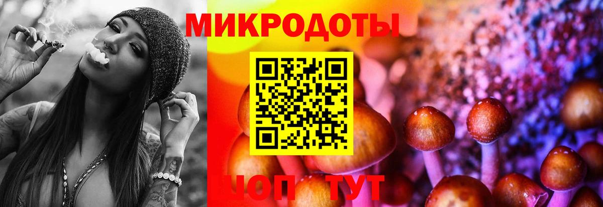 Псилоцибиновые грибы Cubensis  Вход с VPN  Псилоцибиновые грибы MAGIC MUSHROOMS  Карабулак 